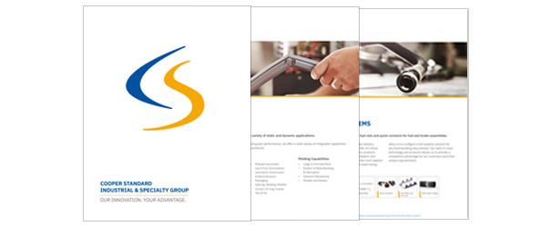 isg overview